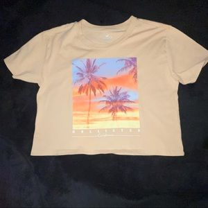 Hollister crop graphic T-shirt. Sunset graphic